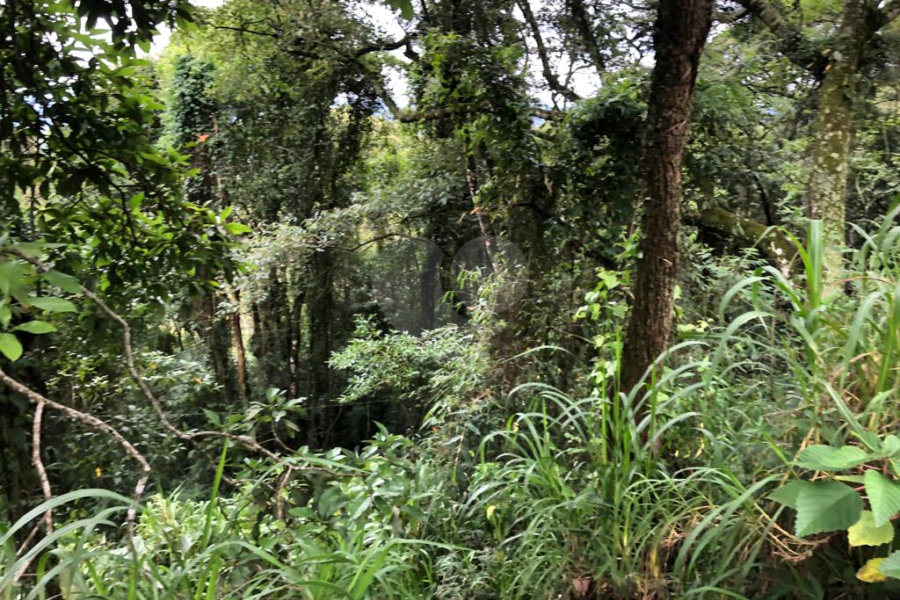 Terreno à venda no condomínio Gleba E2, Mairiporã - SP