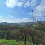 Área de Terra à venda com 1 suíte em Cocais, Itatiba, SP