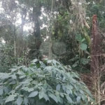 Terreno à venda em Tucuruvi, São Paulo, SP