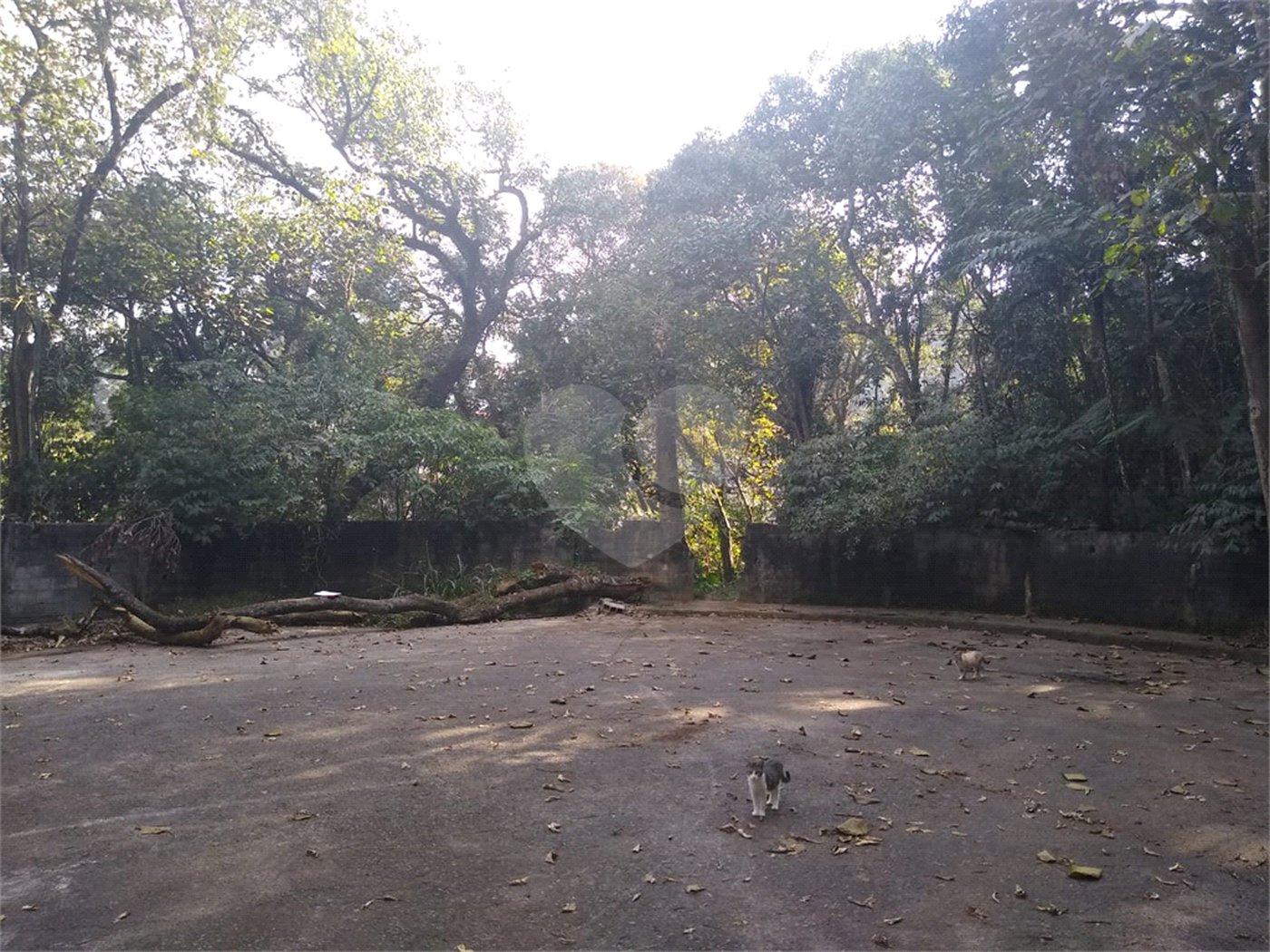 Terreno à venda em Tucuruvi, São Paulo, SP