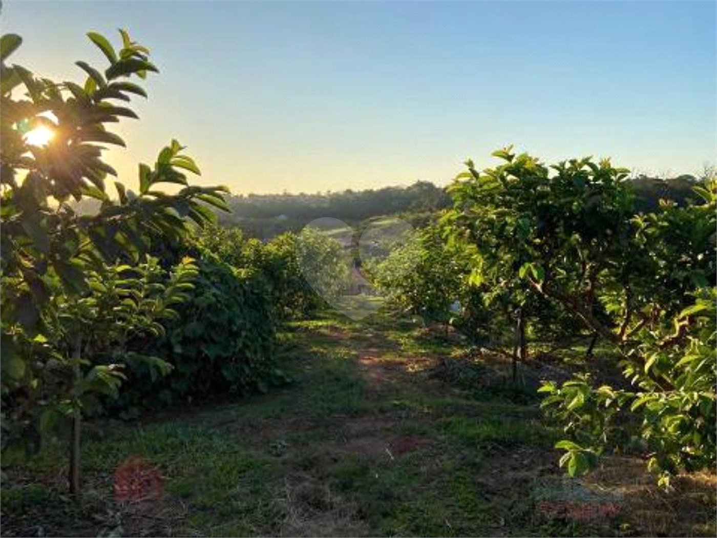Chácara à venda com 2 quartos, sendo 1 suíte, em Reforma Agrária, Valinhos, SP