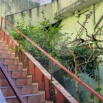 Sobrado à venda com 4 quartos em Vila Mira, São Paulo, SP