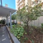 Apartamento para locação na Santa Cecília