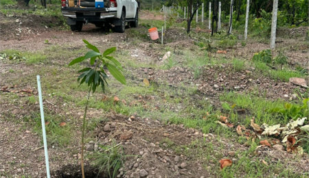 Terreno à venda em Nossa Senhora da Guia, Cuiabá, MT