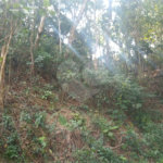 Terreno à venda em Serra da Cantareira, Mairiporã, SP