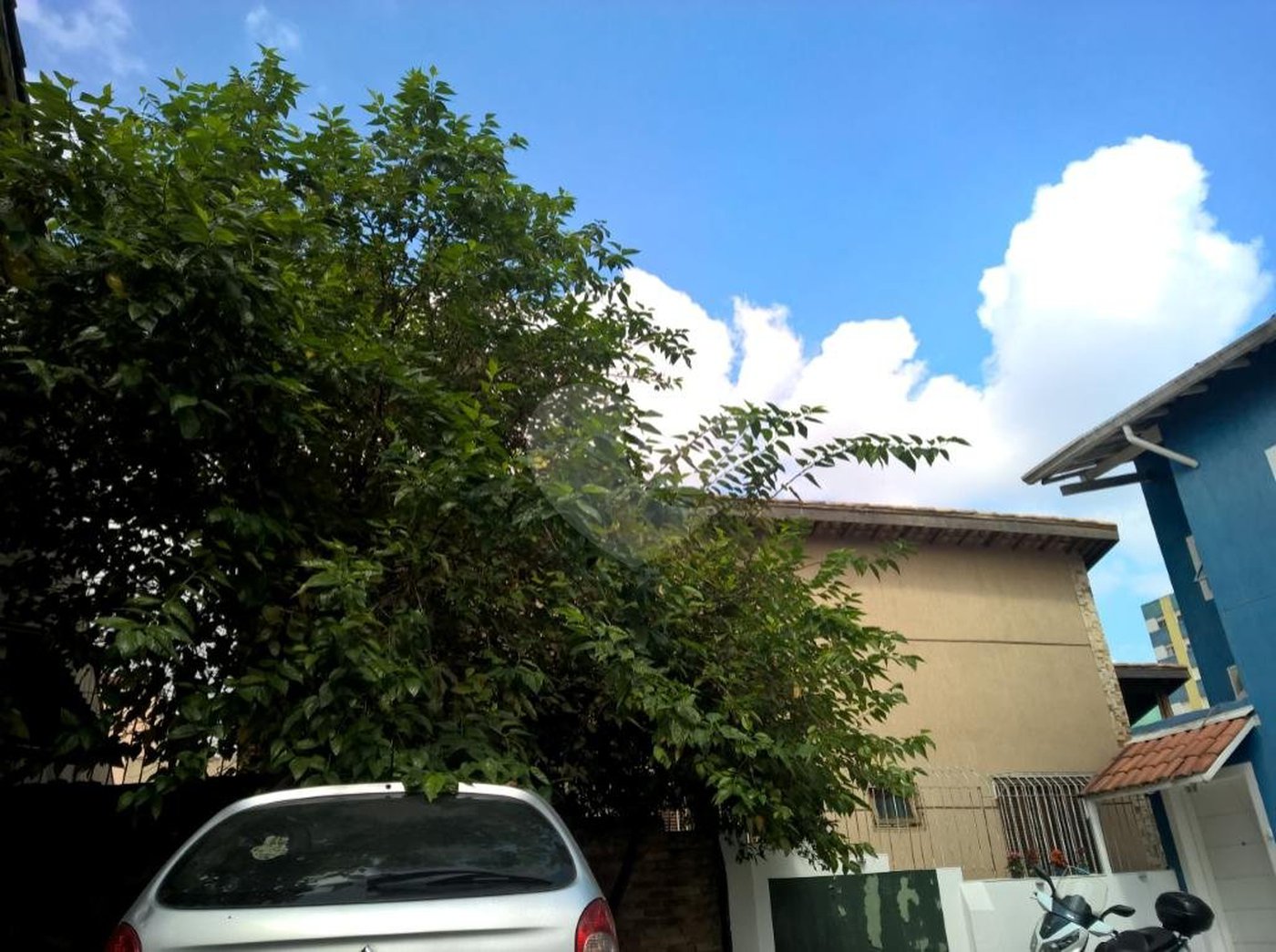 Casa à venda com 2 quartos em Cambuci, São Paulo, SP