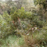 Terreno à venda no condomínio Sausalito, Mairiporã - SP