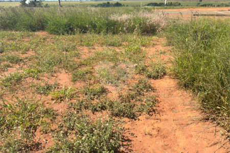 Terreno à venda em Loteamento Residencial Lisboa, Itapetininga, SP