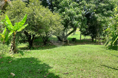 Terreno à venda em Cachoeira, Vinhedo, SP