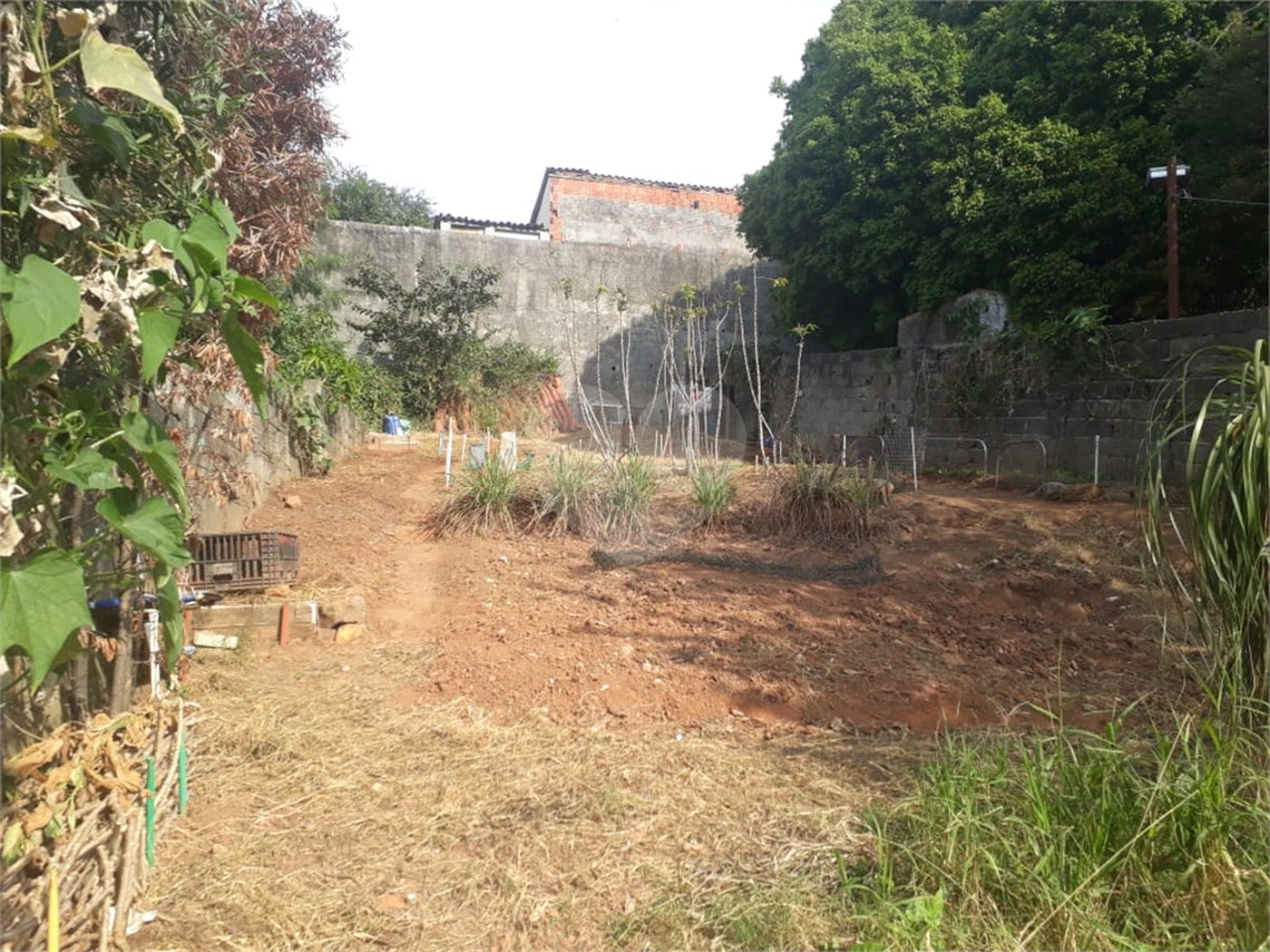 Terreno à venda em Água Fria, São Paulo, SP