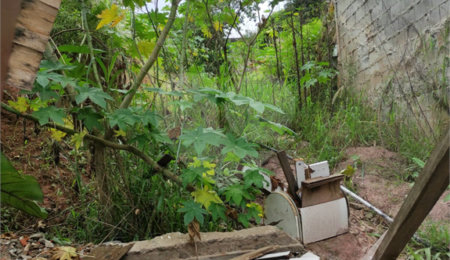 Terreno à venda em Santana, São Paulo, SP