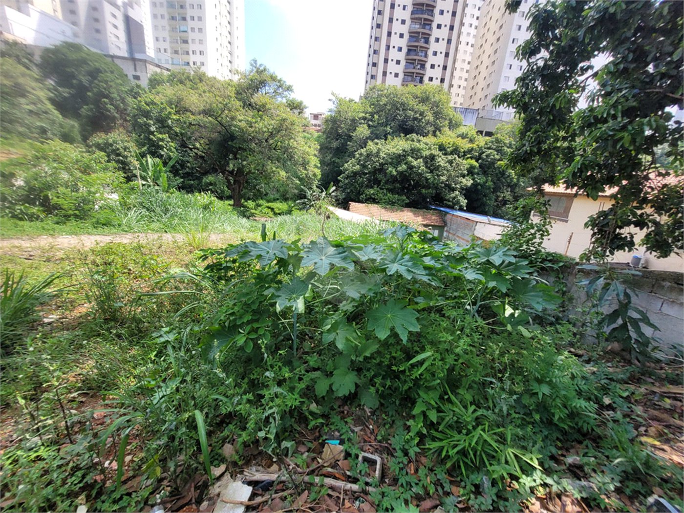 Terreno à venda com 1 quarto em Água Fria, São Paulo, SP