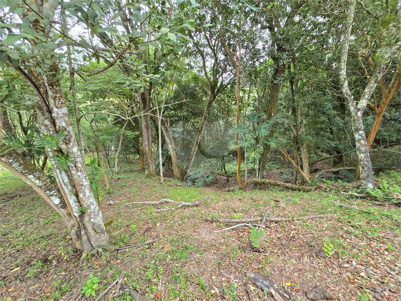 Sítio à venda com 6 quartos, sendo 5 suítes, em Área Rural de Itapetininga, Itapetininga, SP