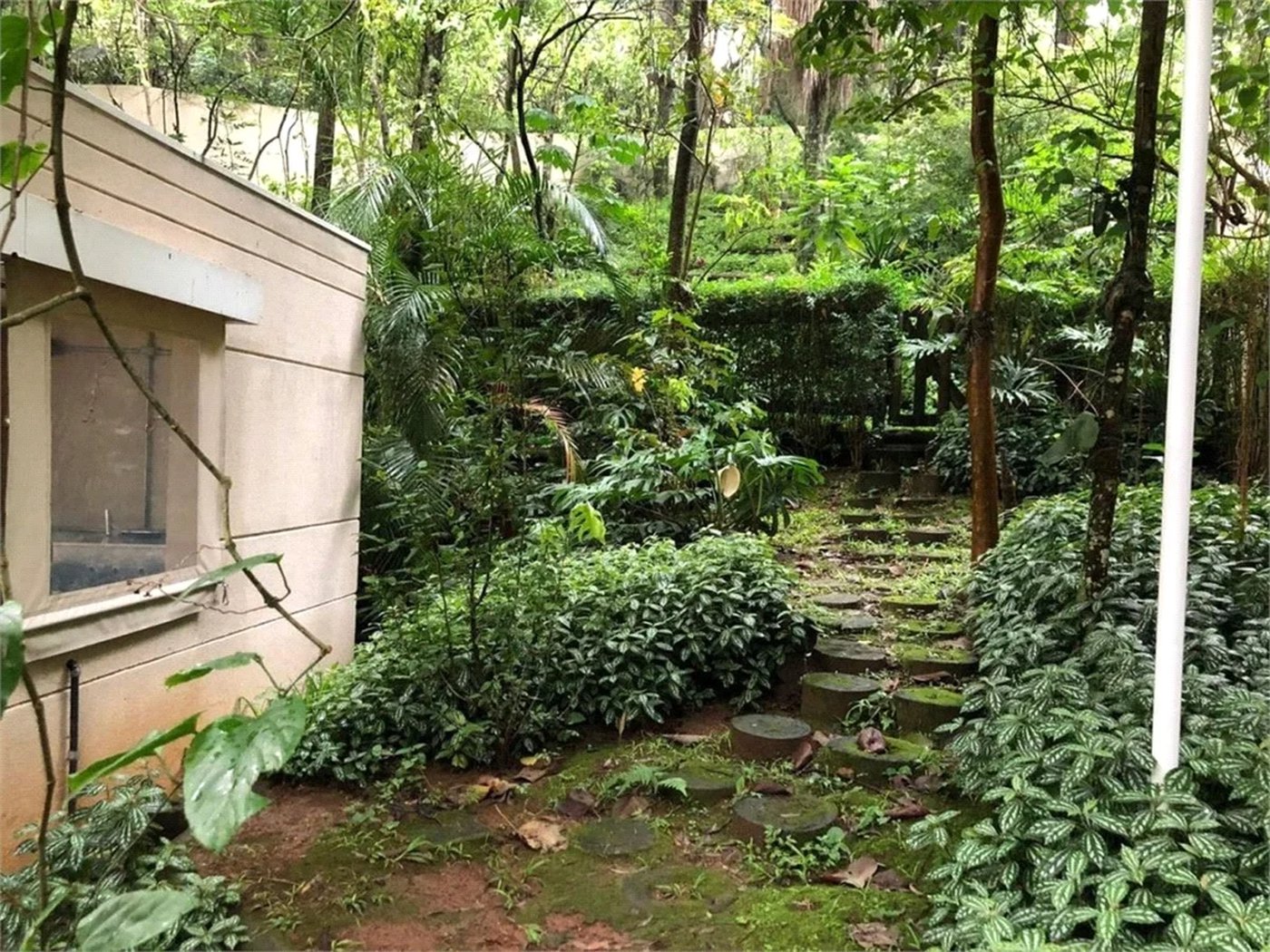 Apartamento à venda com 3 quartos, sendo 1 suíte, em Jardim Ampliação, São Paulo, SP