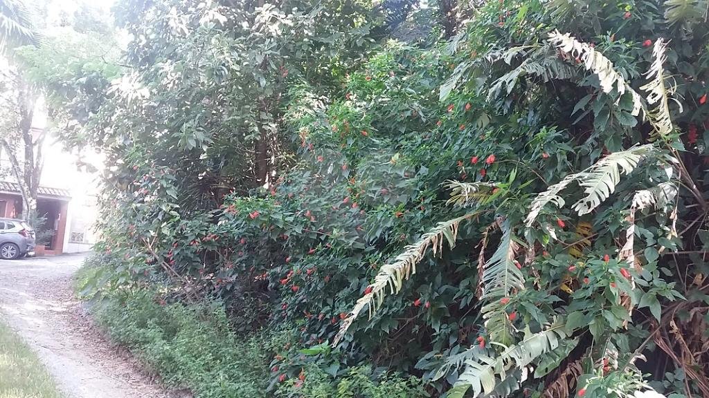 Terreno à venda em Tremembé, São Paulo, SP