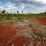 Terreno à venda no condomínio Residencial Quinta das Palmeiras, Itapetininga - SP
