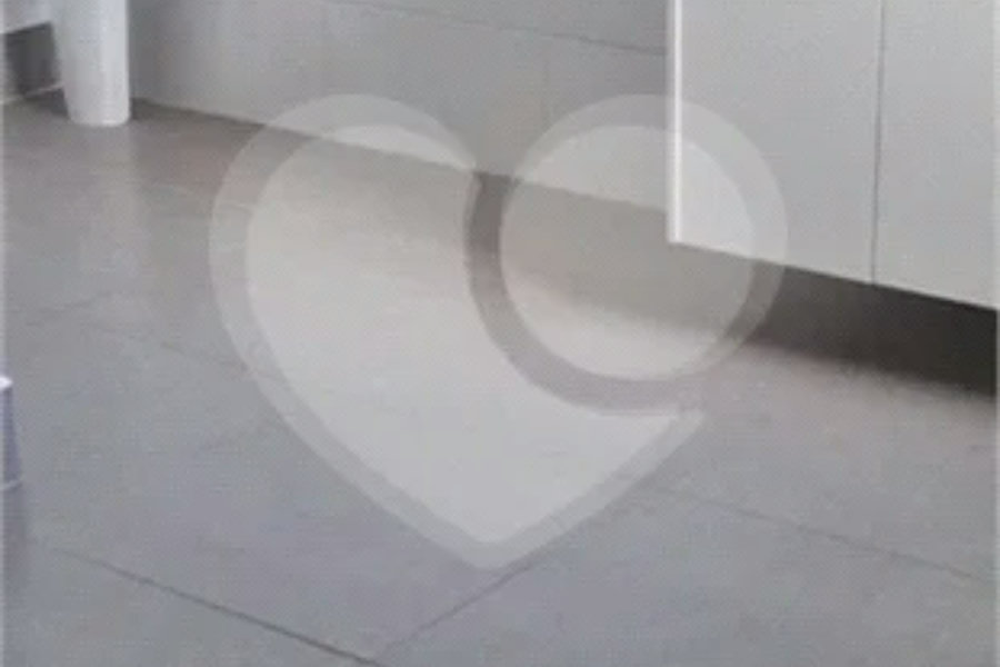Apartamento para alugar com 1 quarto em Santana, São Paulo, SP