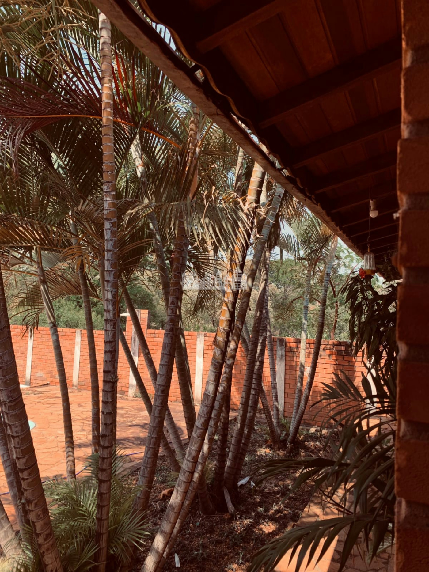 Casa à venda em Aparecida de São Manuel, São Manuel – SP, com projeto que valoriza conforto, iluminação natural e áreas de convivência.