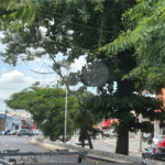 Terreno à venda em Jardim Santa Cruz, Indaiatuba, SP