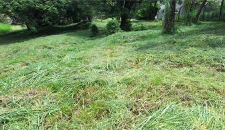 Terreno à venda em Marambaia, Vinhedo, SP