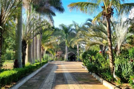 Chacara a venda de alto proximo a cidade
