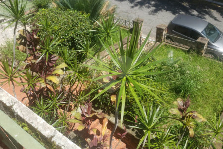 Sobrado à venda com 3 quartos em Jardim São Bento, São Paulo, SP
