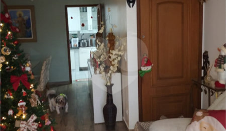 Apartamento à venda com 3 quartos, sendo 1 suíte, em Casa Verde, São Paulo, SP