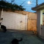 Casa Térrea à venda com 3 quartos no Brasilândia, São Paulo, SP