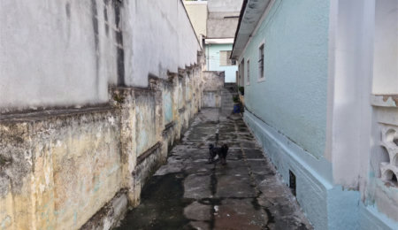 Terreno à venda em Vila Nivi, São Paulo, SP