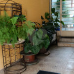 Sobrado à venda com 3 quartos, sendo 1 suíte, em Jardim Tabatinga, Guarulhos, SP