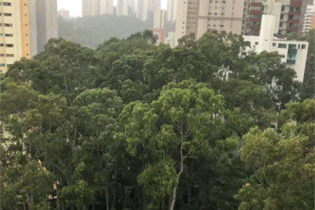Apartamento à venda com 4 quartos, sendo 3 suítes, em Vila Suzana, São Paulo, SP
