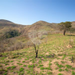 Terreno à venda em Recanto das Acácias, São Roque, SP