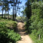 Área de Terra à venda em Alto da Serra (mailasqui), São Roque, SP