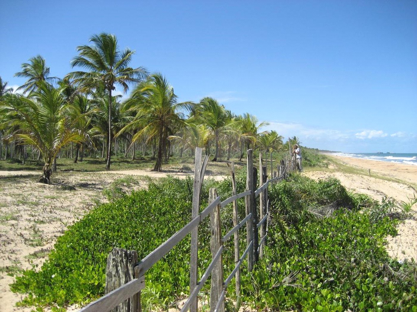 Área de Terra à venda em Mogiquiçaba, Belmonte, BA