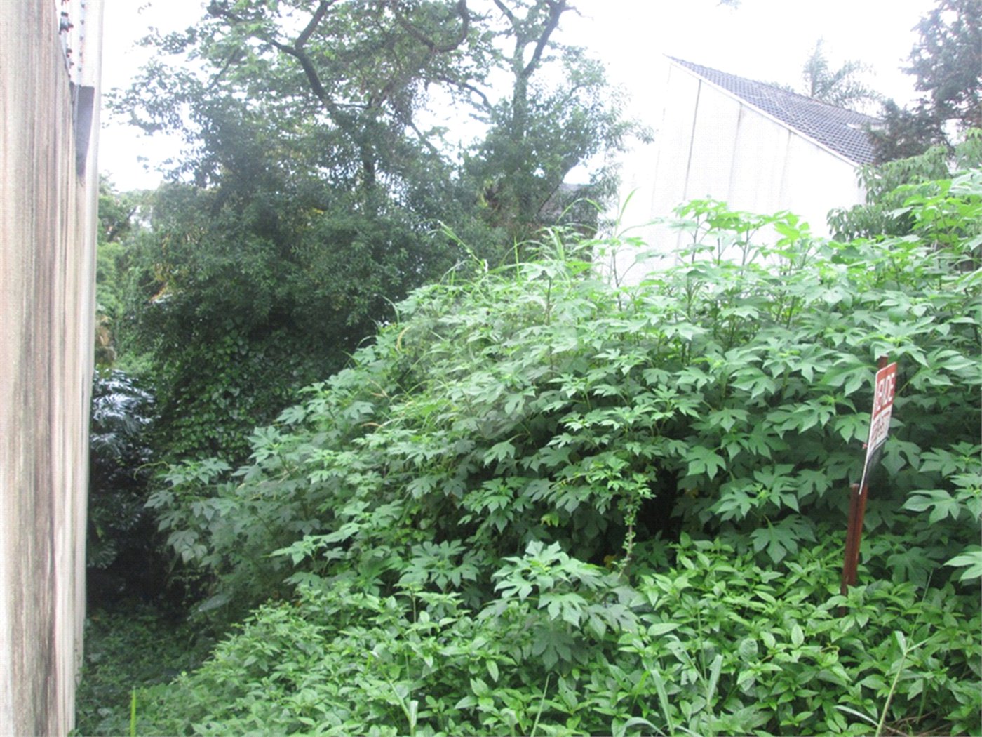 Terreno à venda no condomínio Loteamento Jardim entre Serras, São Paulo - SP