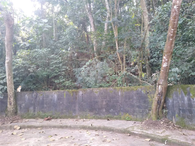 Terreno à venda em Tucuruvi, São Paulo, SP