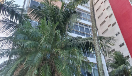 Apartamento à venda com 1 quarto em Gonzaga, Santos, SP