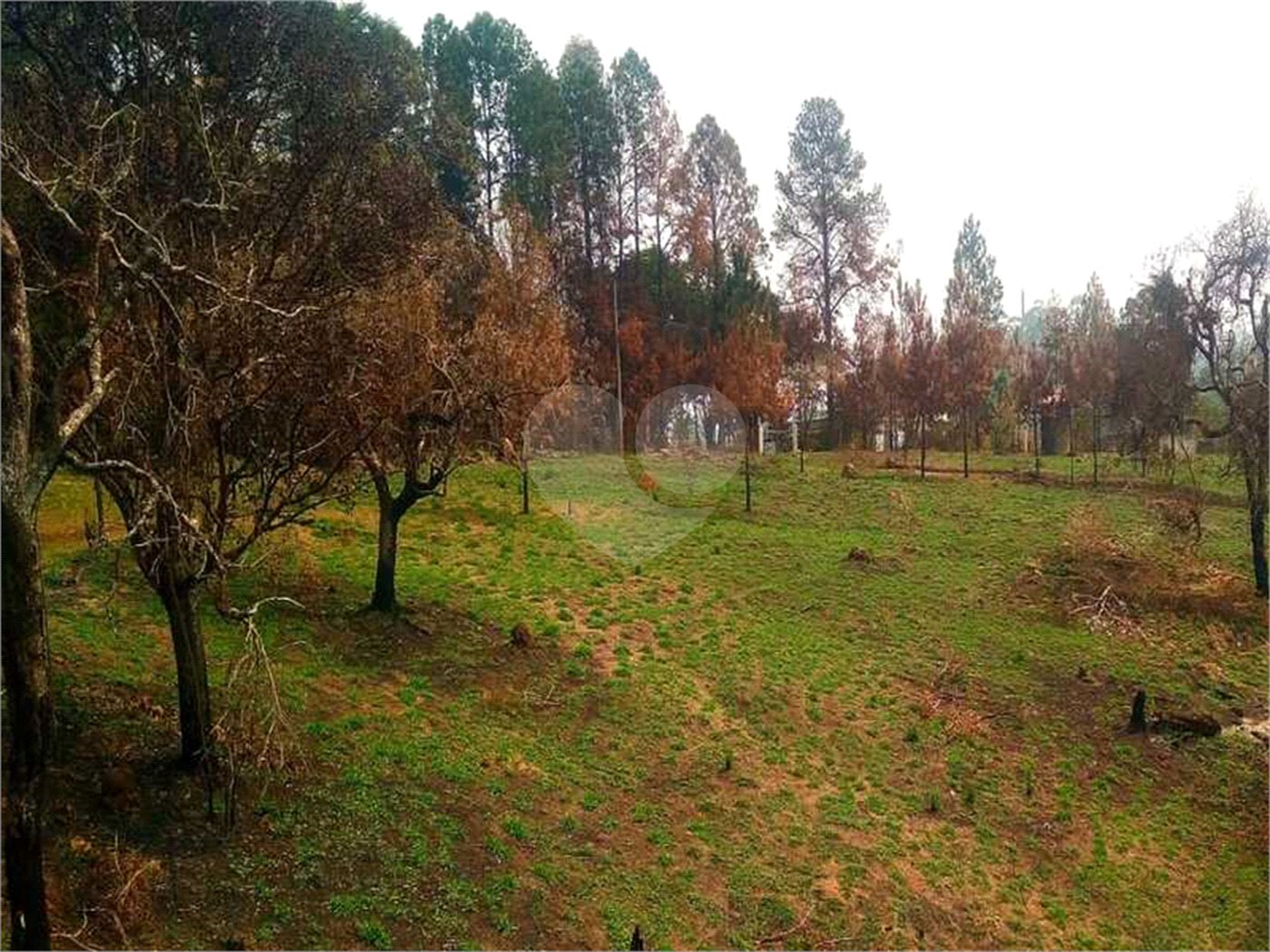 Fazenda à venda com 2 quartos em City Castello, Itu, SP