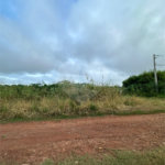 Terreno à venda em Bosque de Ponta Porã, Ponta Porã, MS