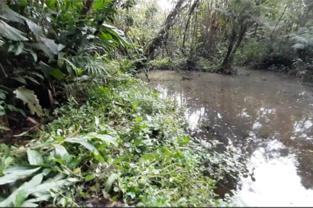 Chácara à venda com 3 quartos, sendo 1 suíte,  em Taiaçupeba, Mogi das Cruzes, SP