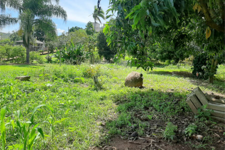Terreno à venda em Cachoeira, Vinhedo, SP