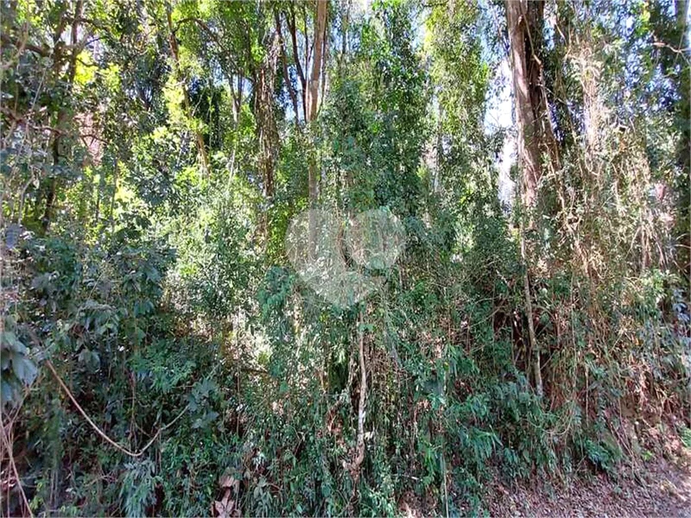 Terreno à venda no condomínio Associação Reserva das Hortênsias, Mairiporã - SP