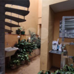 Sobrado à venda ou para alugar com 5 quartos, sendo 1 suíte, em Vila Parque Jabaquara, São Paulo, SP