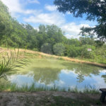 Casa à venda com 3 quartos, sendo 1 suíte, no condomínio Jardim Guarujá, Salto - SP