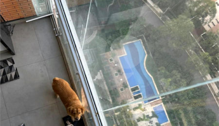 Apartamento à venda com 4 quartos, sendo 3 suítes, em Vila Andrade, São Paulo, SP