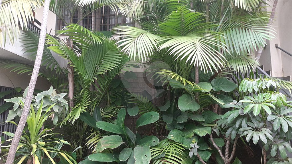 Sobrado à venda com 4 suítes em Mandaqui, São Paulo, SP