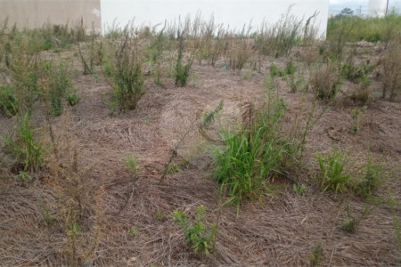 Lote no Jardim do Bosque, aceita financiamento ou aquisição de terreno e construção .