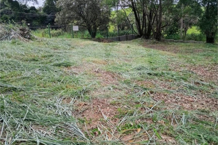 Terreno à venda em Vale Verde, Valinhos, SP