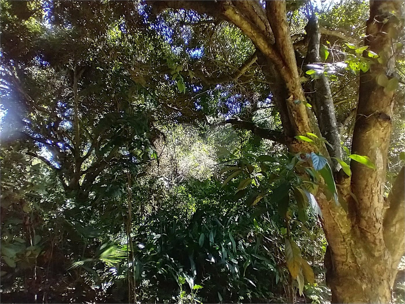 Casa à venda com 1 quarto em Vila Verde, Armação dos Búzios, RJ