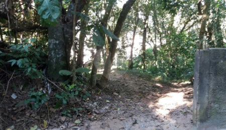 Terreno à venda em Tremembé, São Paulo, SP